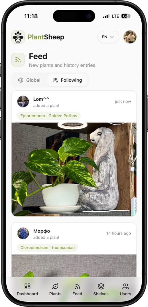 See what other collectors are growing